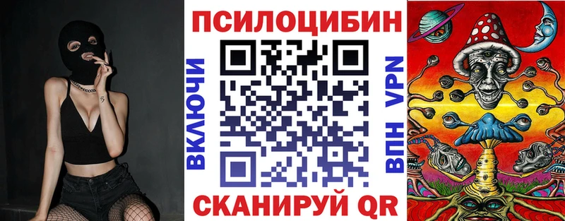 Псилоцибиновые грибы Psilocybe  Учалы 